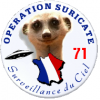 badge-suricate-71-2-1